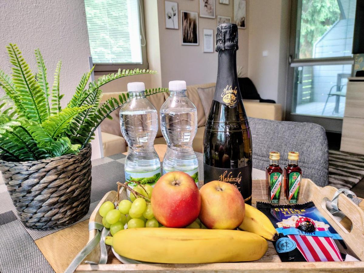 Relax Harrachov Apartments - Free Wellness Grotta Spa Екстер'єр фото